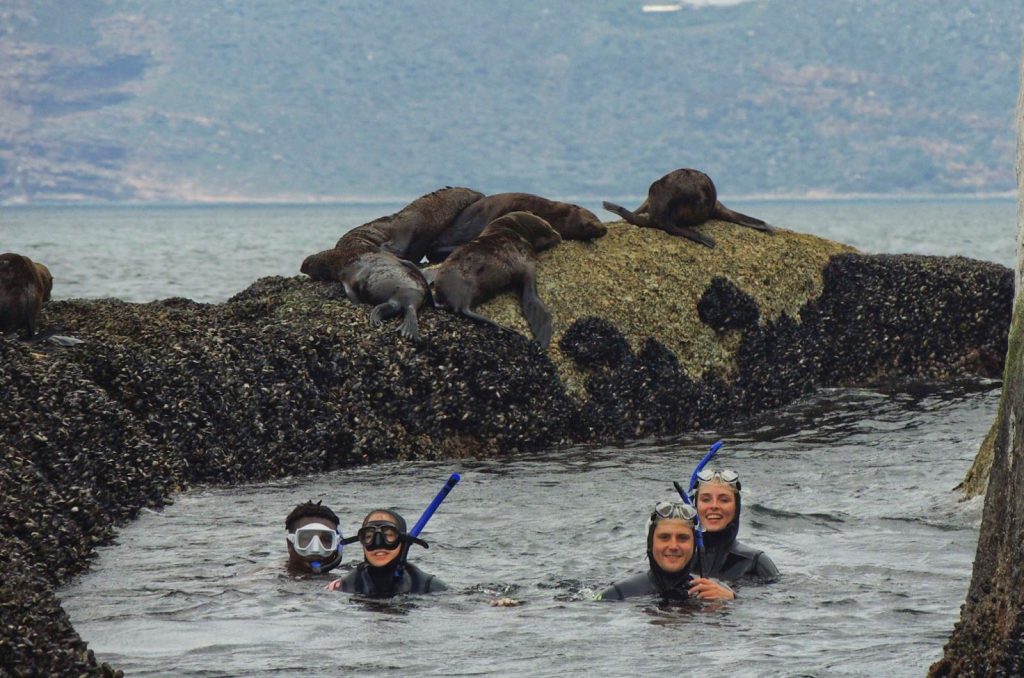 snorkeling spots in Cape Town