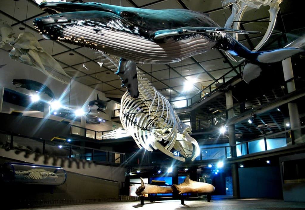 cultural attractions in Cape Town