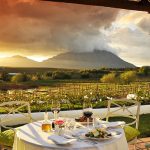5 Perfect Cape Town Getaways for Wine Lovers