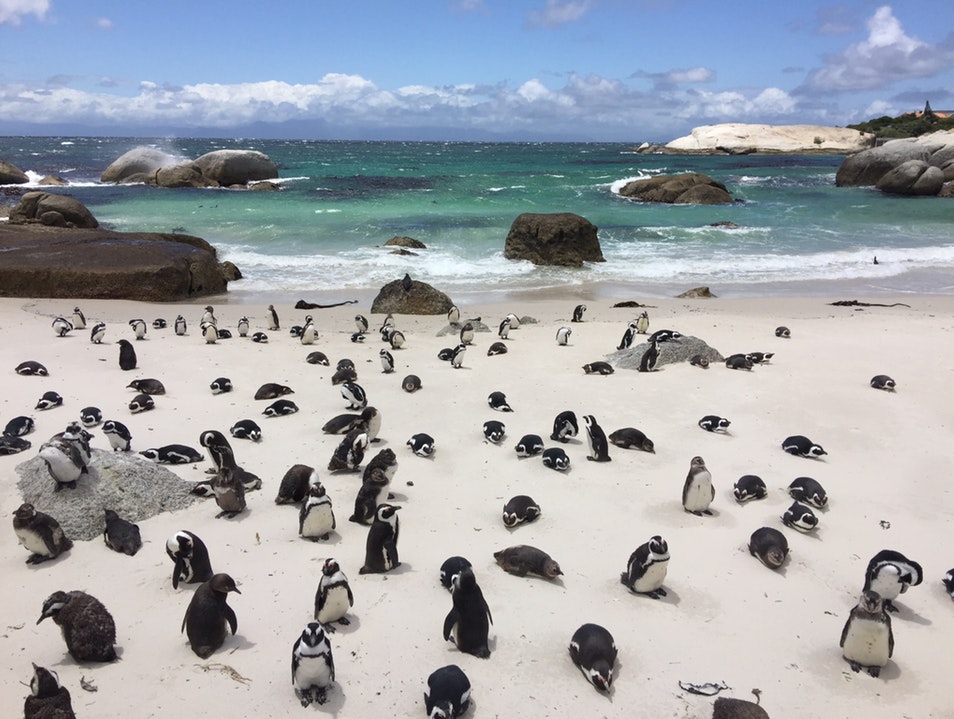 experiences in Cape Town
