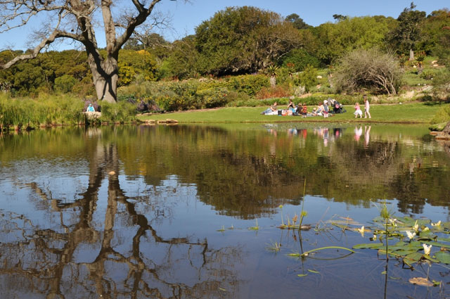 hiking trails in Cape Town