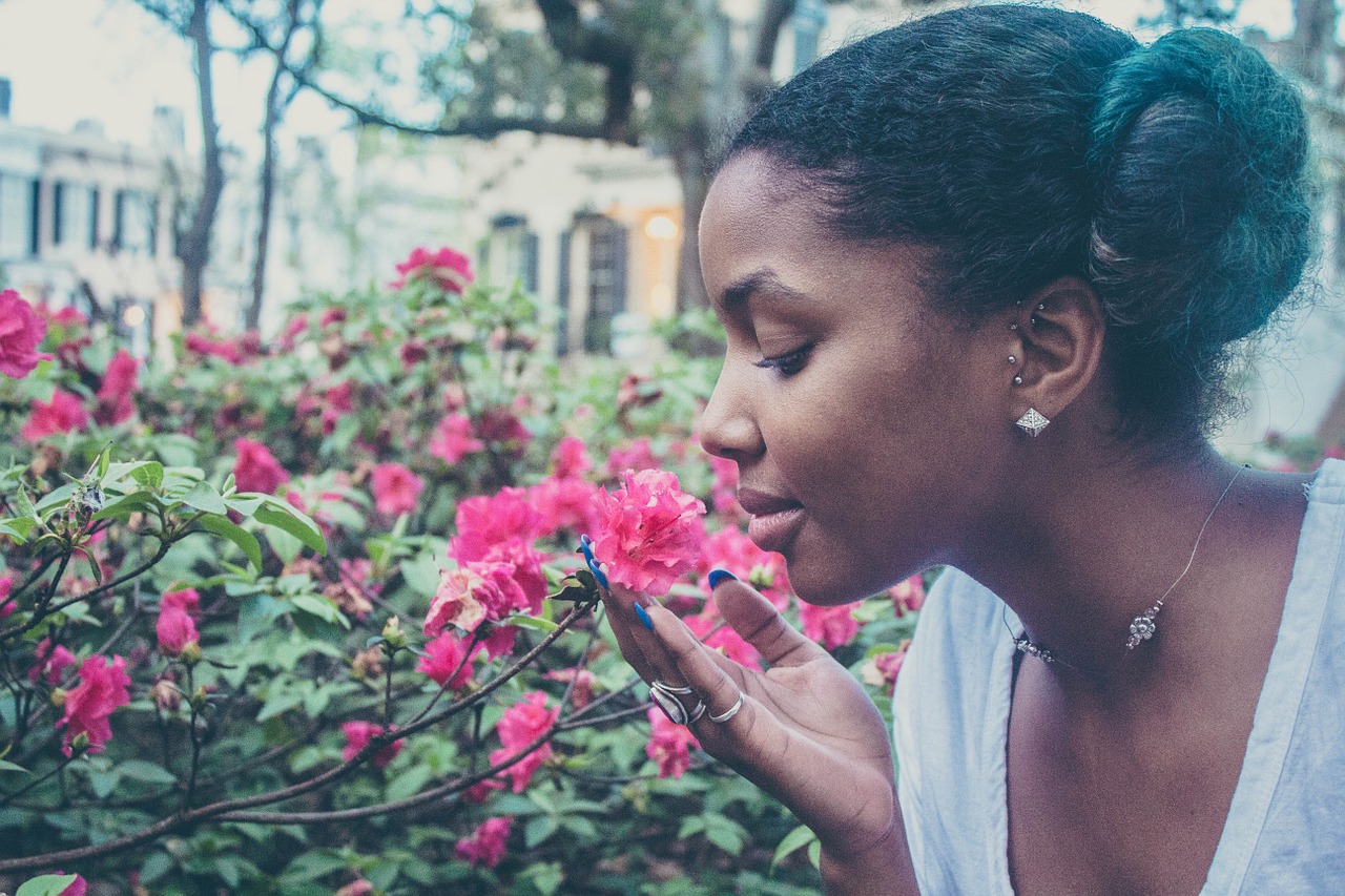 things to do in Cape Town in spring