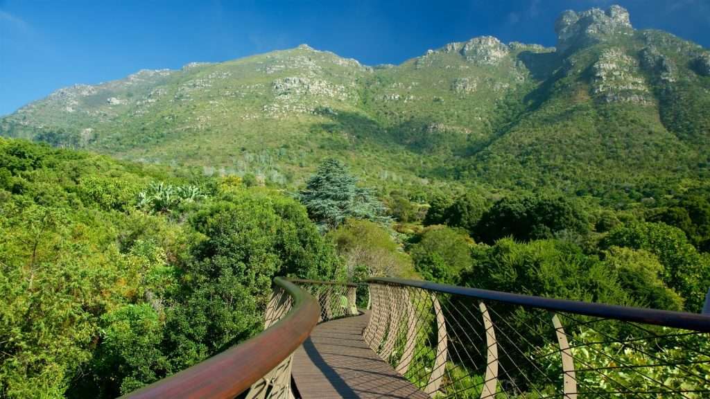 Cape Town attractions 