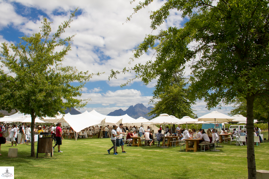 events in Cape Town