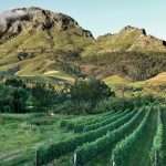 getaway to Stellenbosch