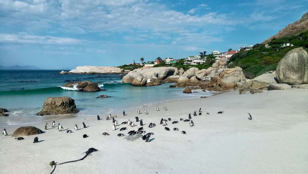 places to visit in Cape Town