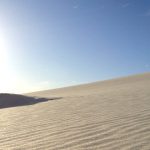 The Atlantis Dunes: Why You Should Go Sandboarding in Cape Town