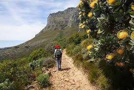 Camps Bay in Cape Town 