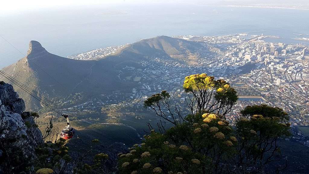 places to visit in Cape Town