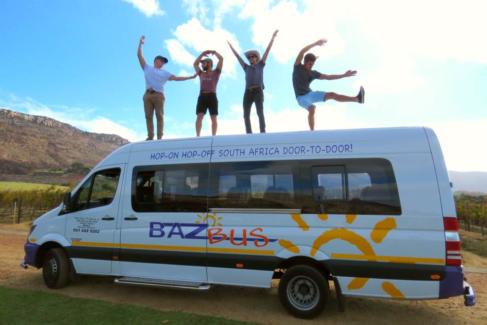 baz bus cape peninsula tour