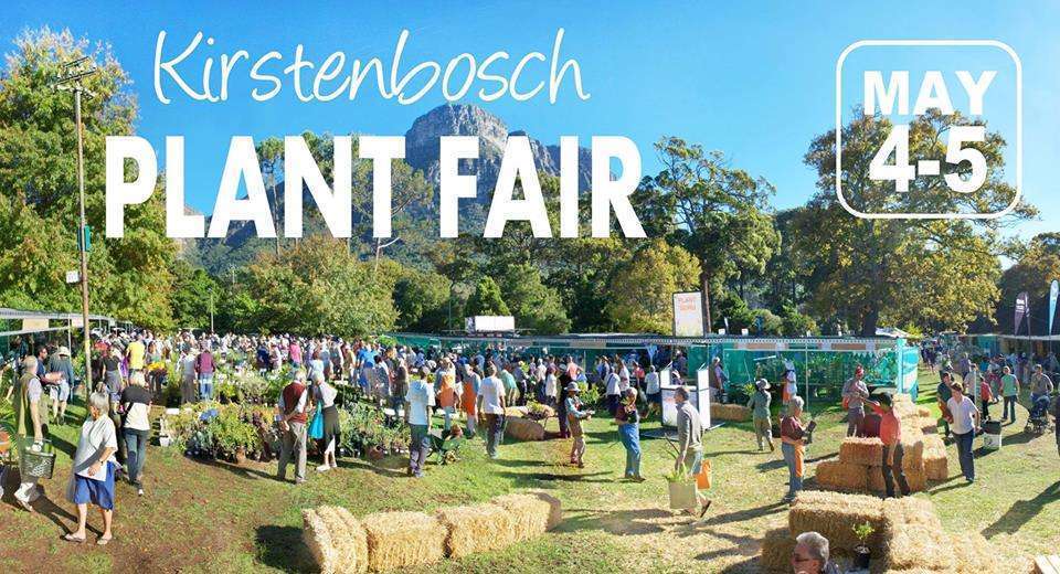 events in Cape Town