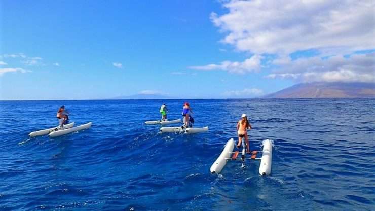 Water bike adventure in Cape Town