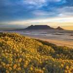 Cape Town Tours