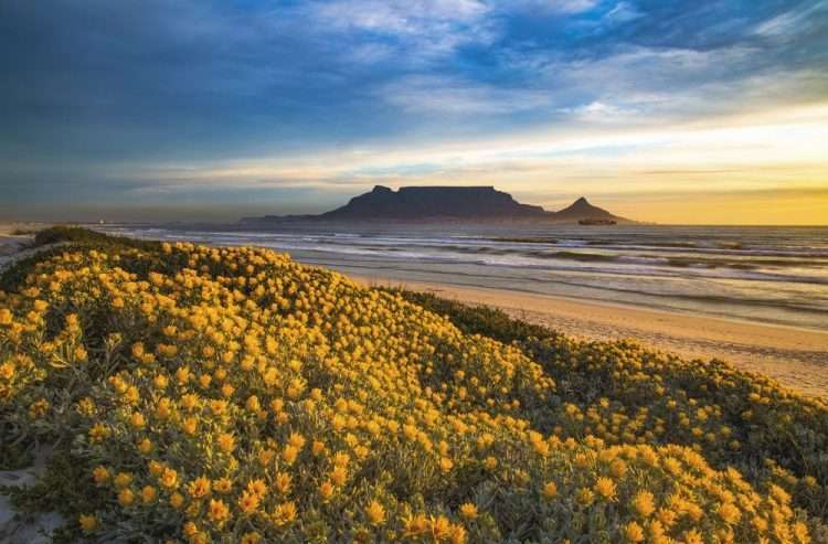 Cape Town Tours