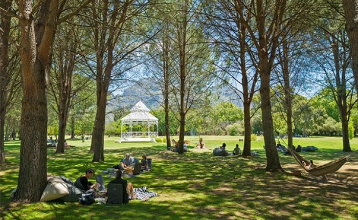 picnic spots in Cape Town
