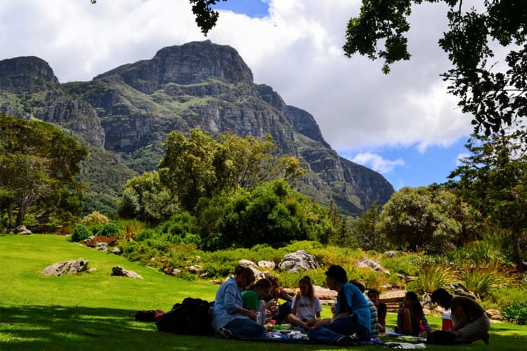 picnic spots in Cape Town 