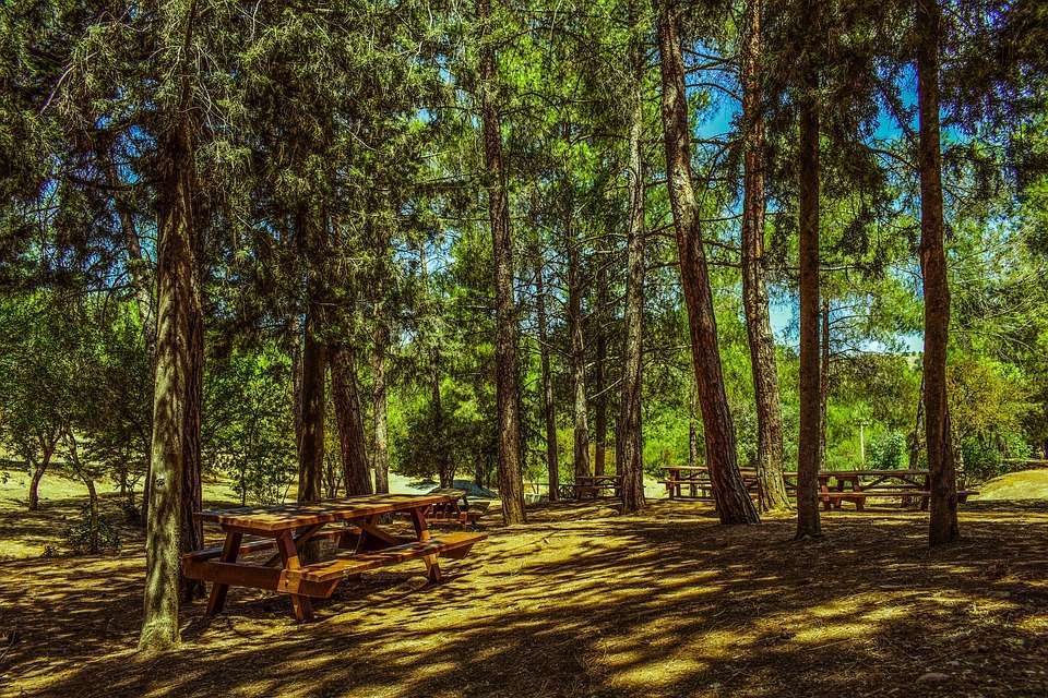 picnic spots in Cape Town 