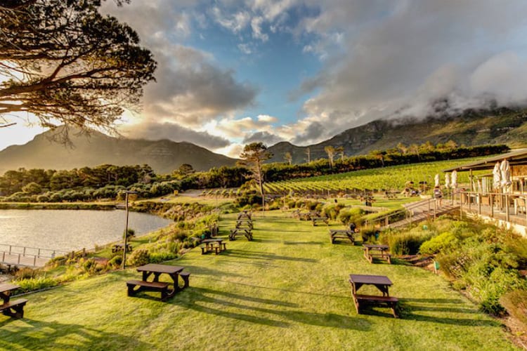 picnic spots in Cape Town