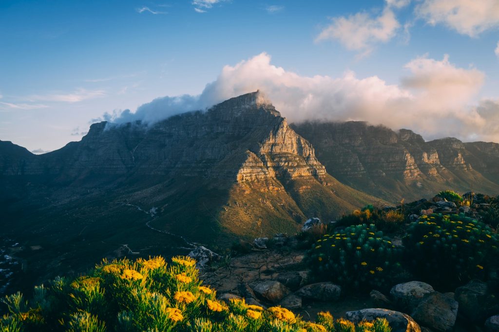 7 Things Tourists Should Never Do In Cape Town