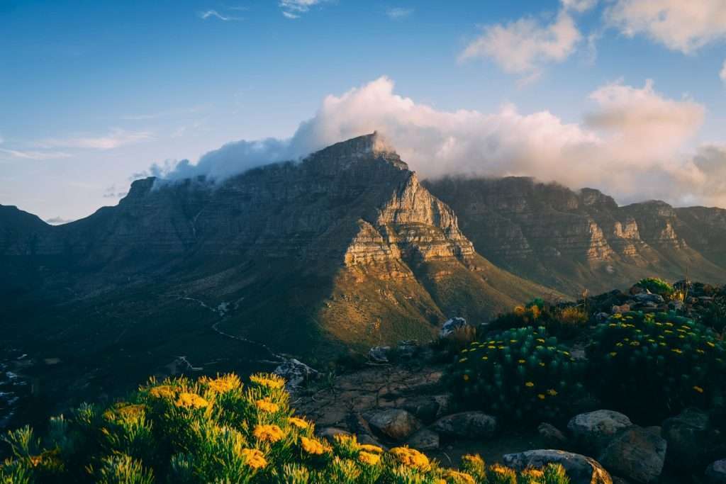 7 Things Tourists Should Never Do In Cape Town