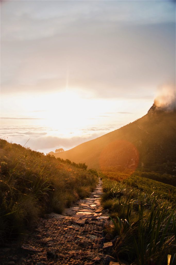 Hiking Trails In Cape Town