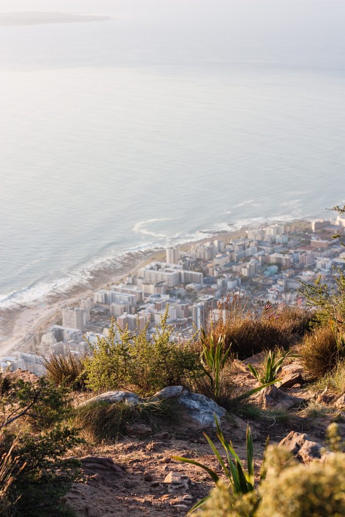 Best Hiking Trails In Cape Town For Beginners - Lions Head Loop Hiking Trail