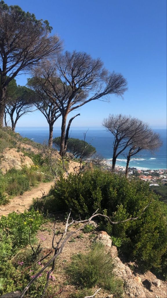 Hiking Trails In Cape Town - Pipe Track