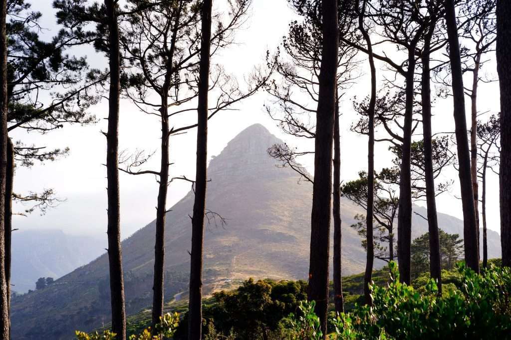 Hiking Trails in Cape Town