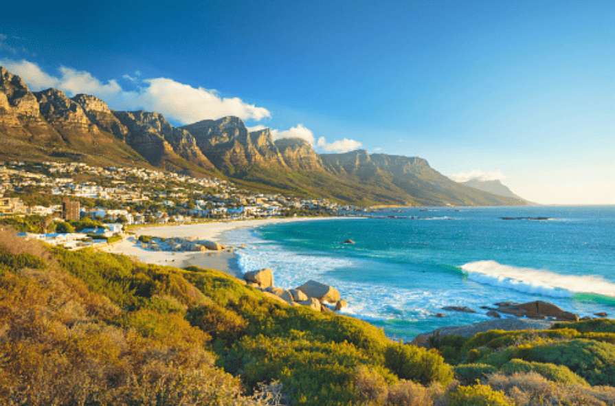 Things To Do Alone in Cape Town