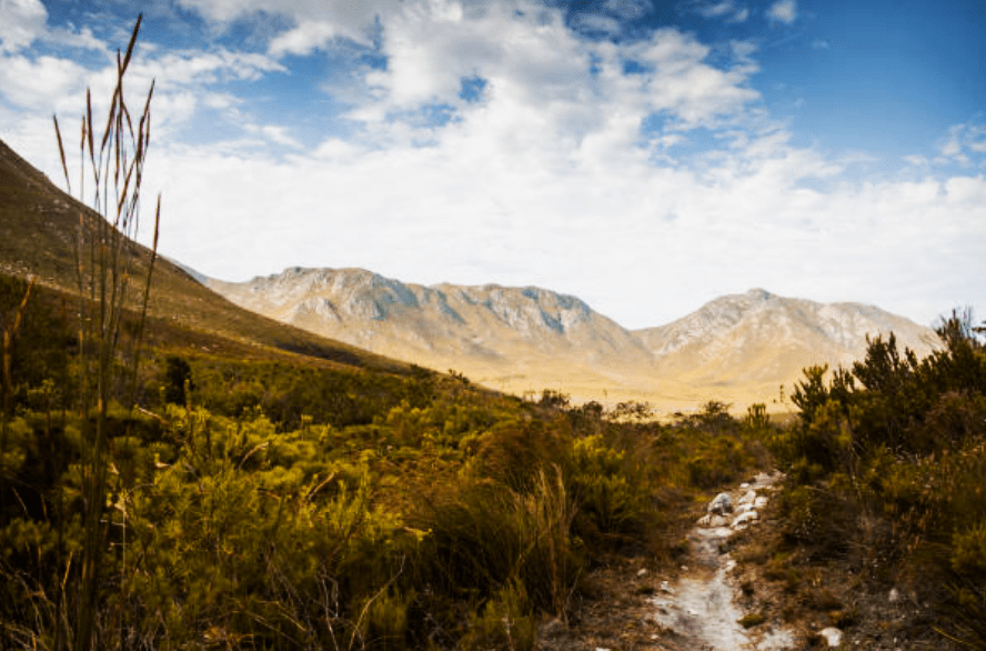 Best Waterfalls in Cape Town