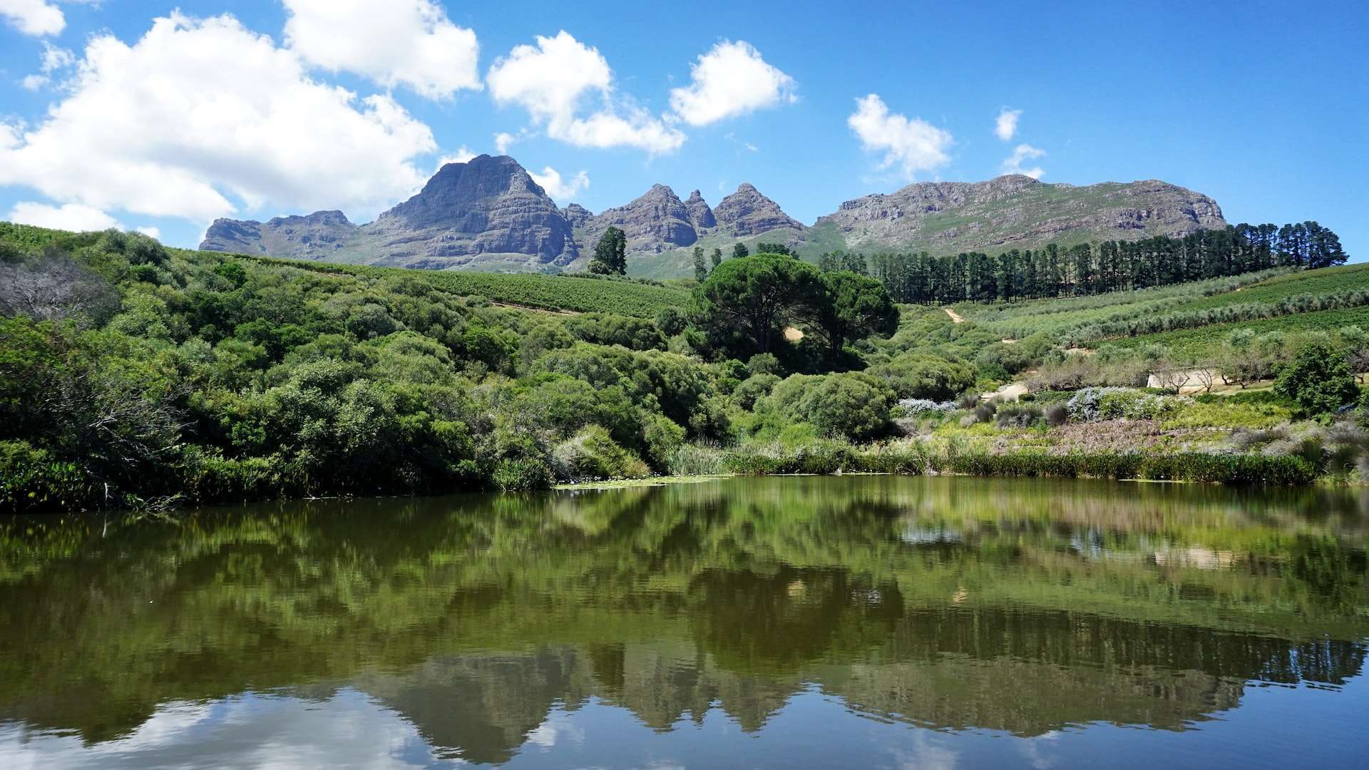 Things to know before visiting Cape Town