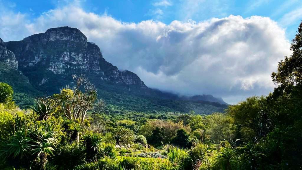 Top things to do with kids this holiday season in Cape Town