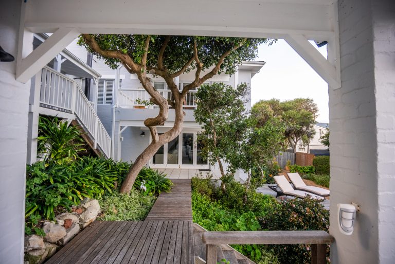 Salt House – Charming garden entrance framed by mature indigenous trees, creating a private and tranquil coastal sanctuary.