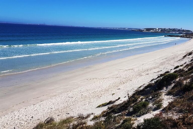 20190305_011633_SOS_Beach_2