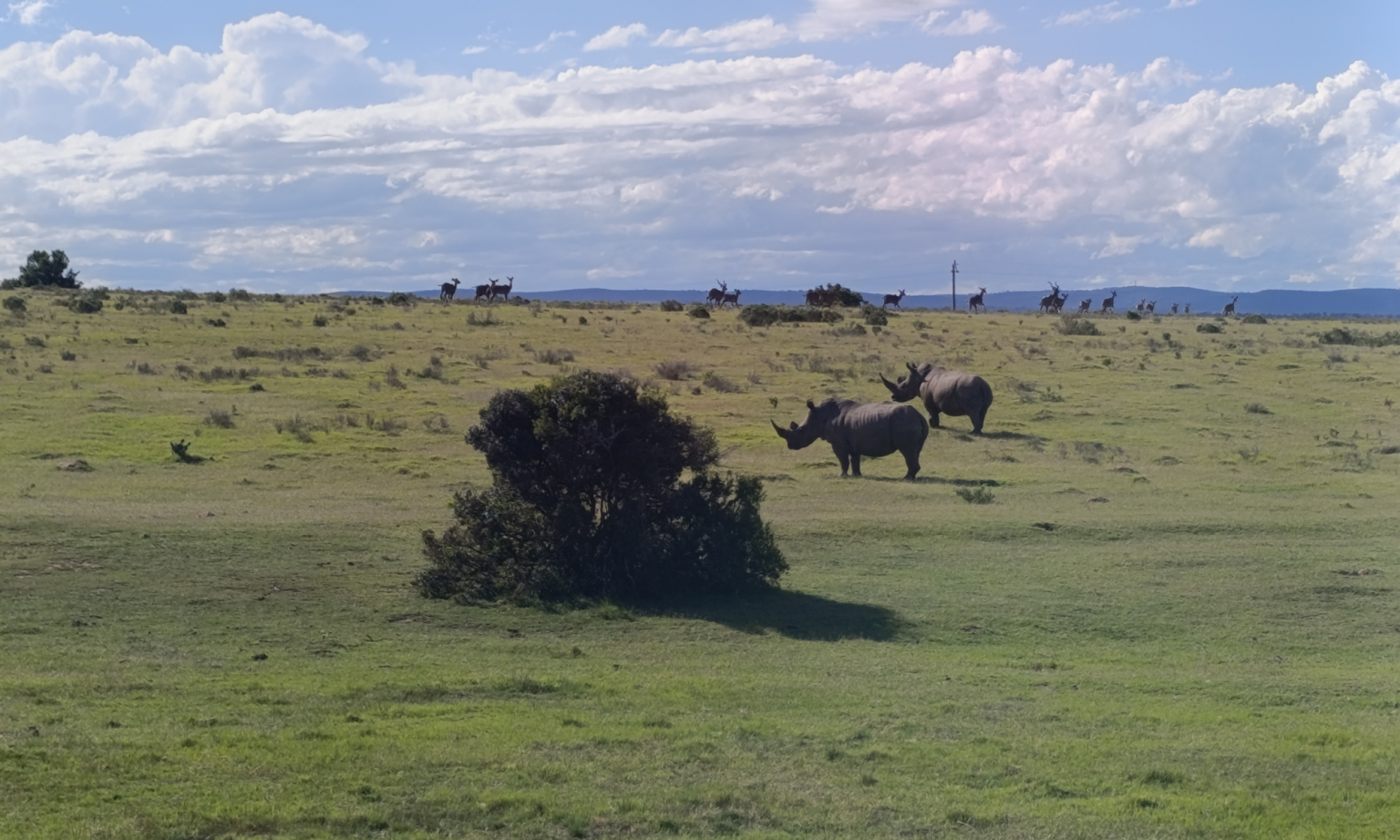 Garden route tour (12)