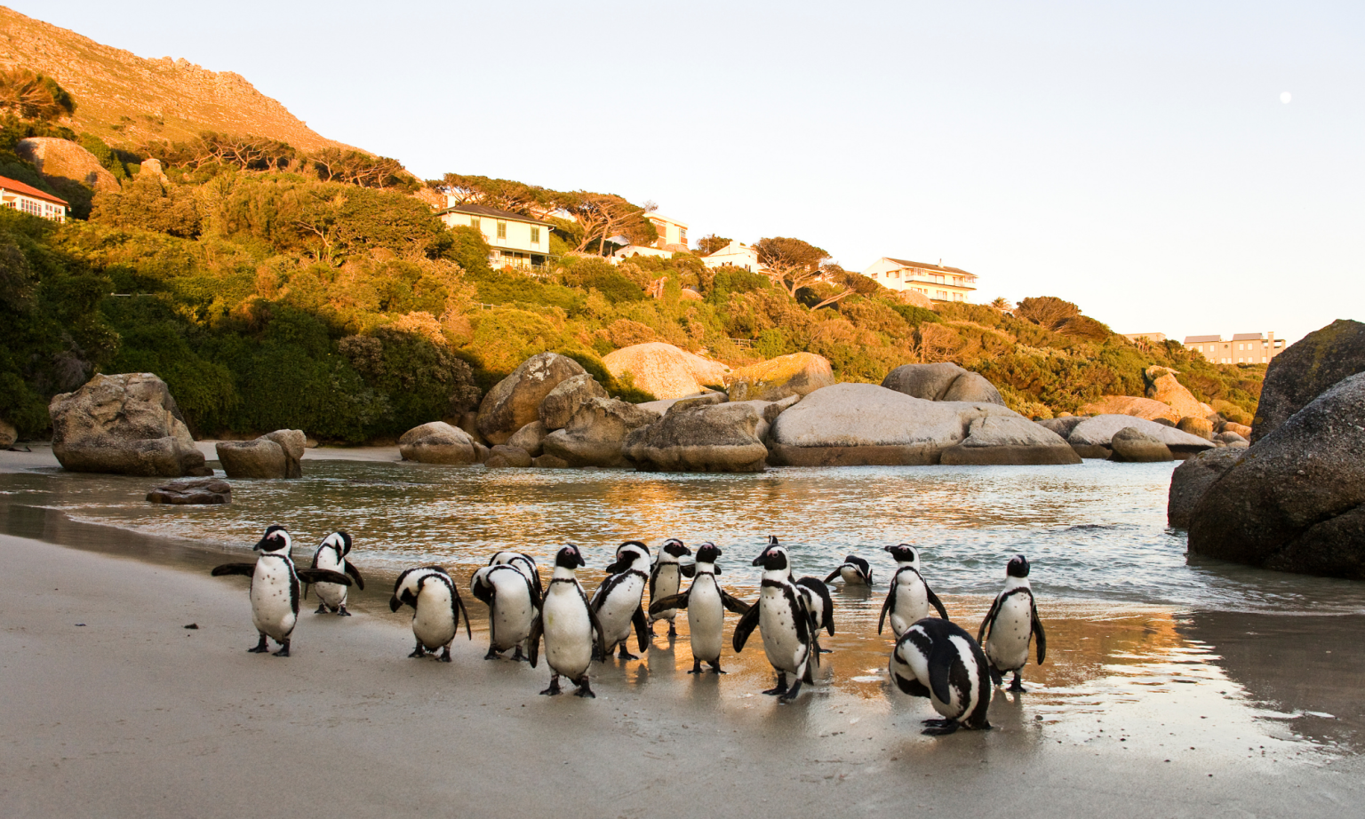 Garden route tour (14)