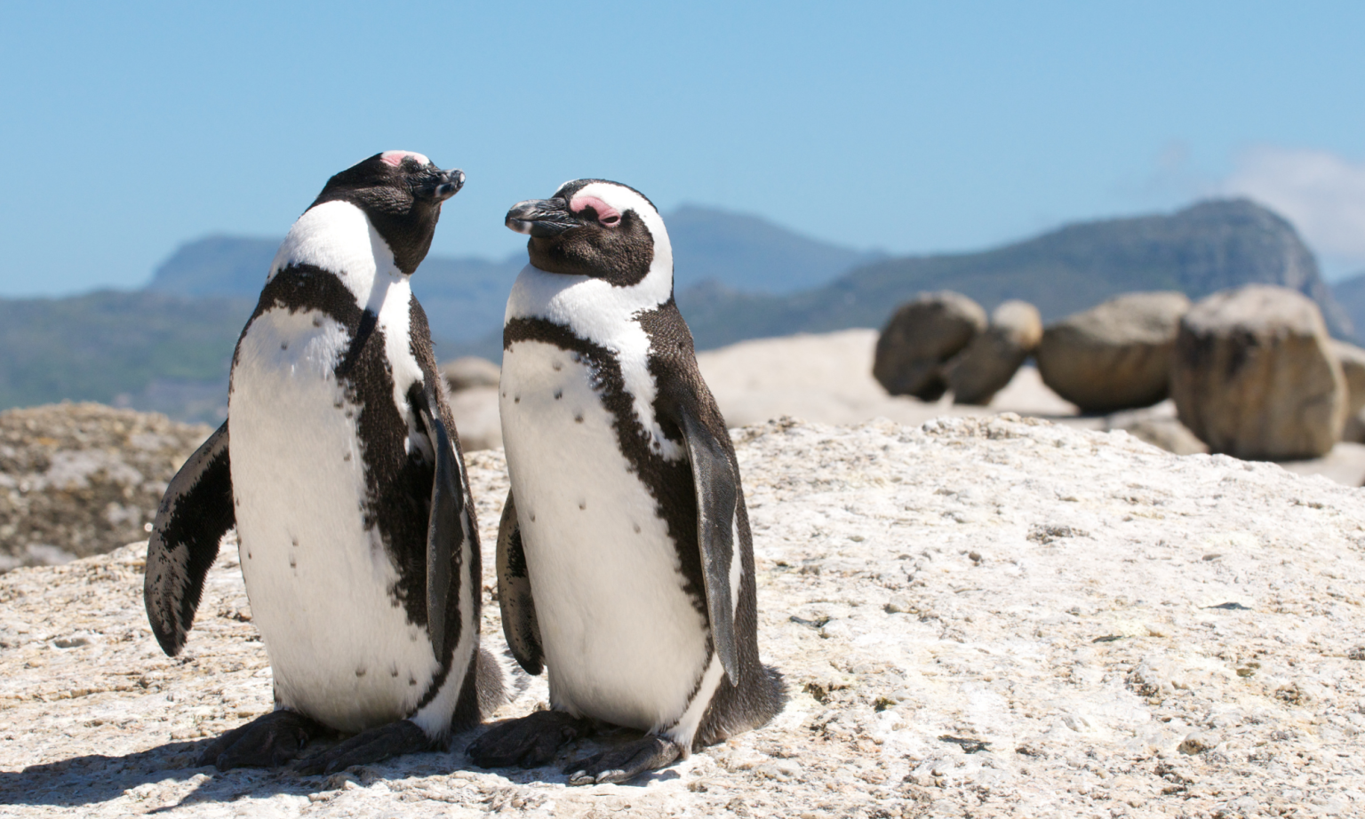 Garden route tour (15)