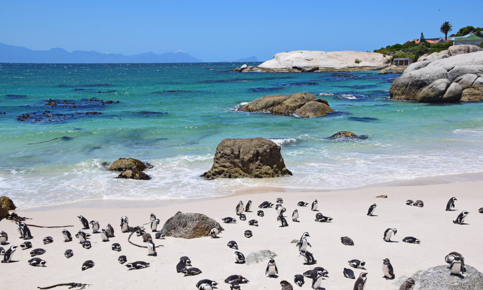 Garden route tour (16)