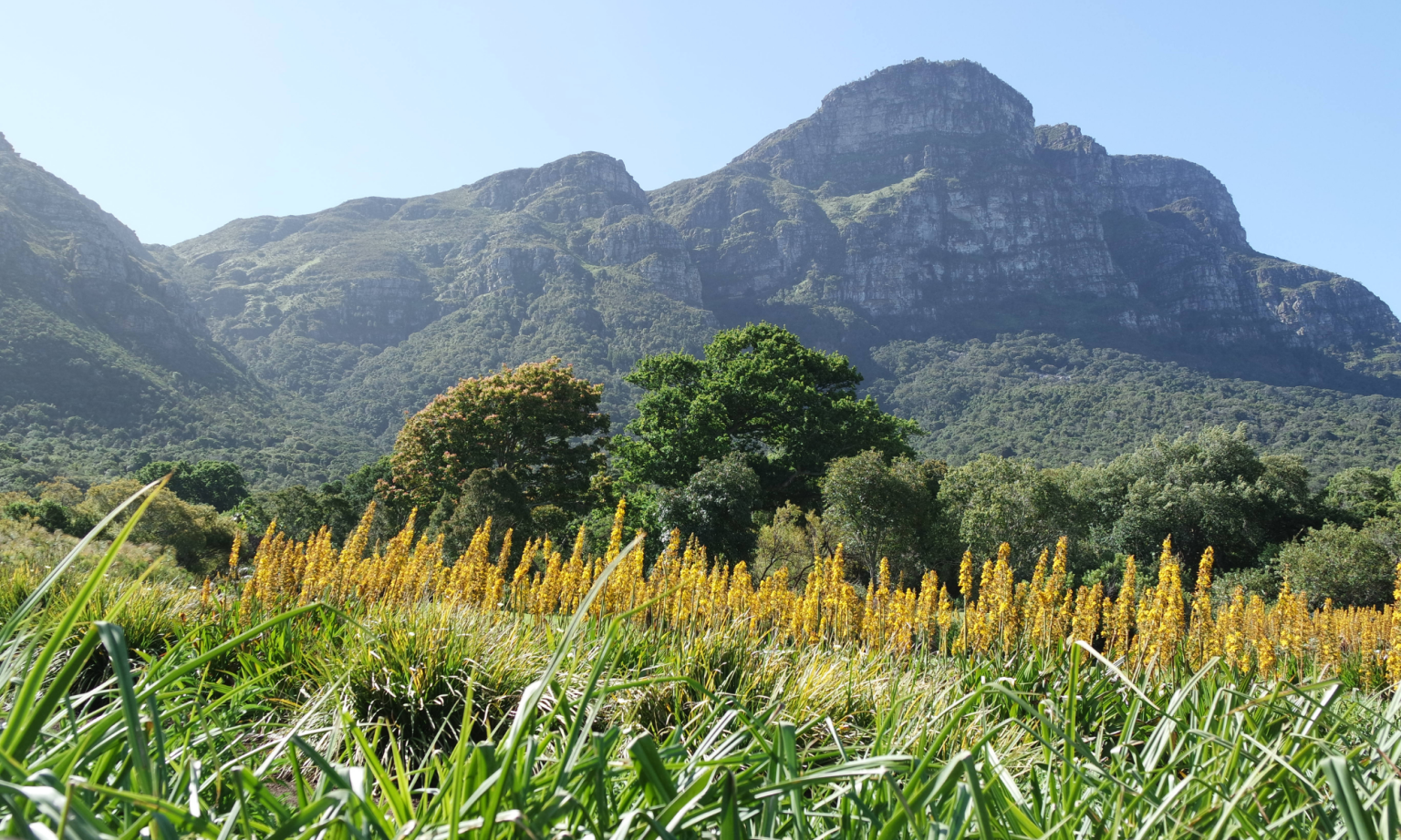 Garden route tour (23)