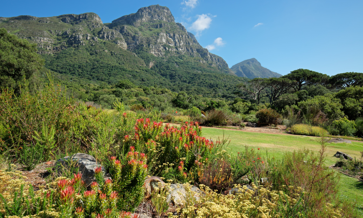 Garden route tour (24)