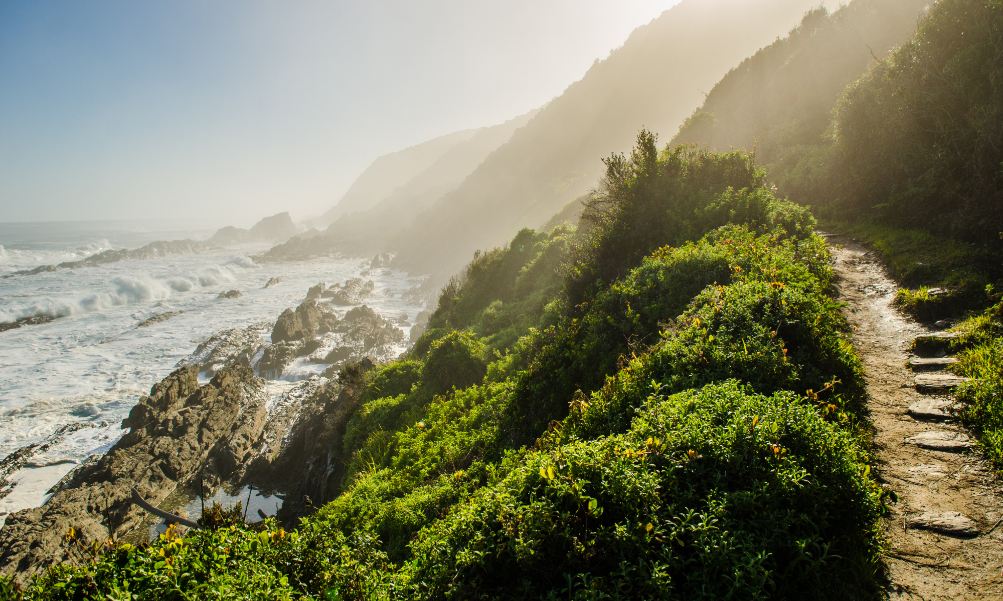 Tsitsikamma – Forest & Ocean