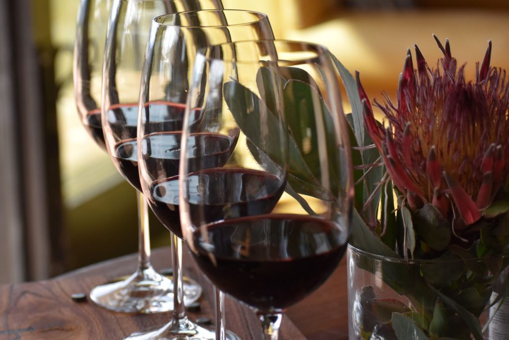 Red wine glasses and a protea in Stellenbosch