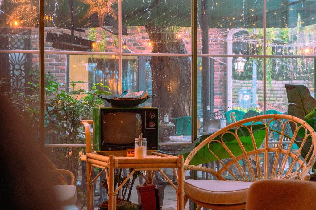 Warm café seating and greenery beside windows on a rainy day