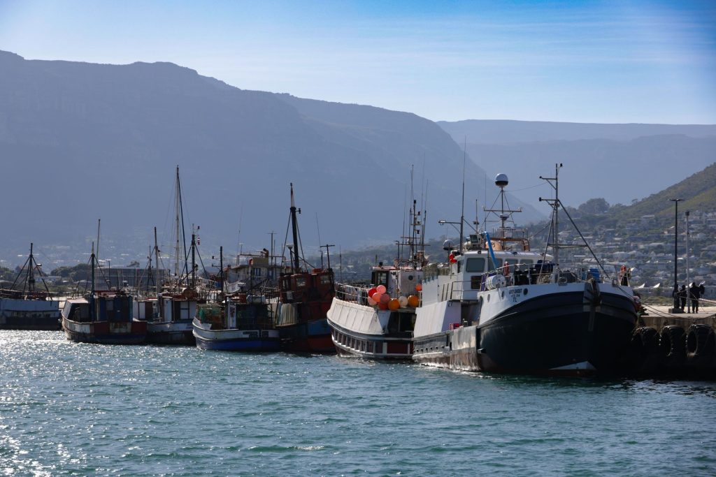 A scenic view of fishing boats in Hout Bay Harbor under a clear blue sky.