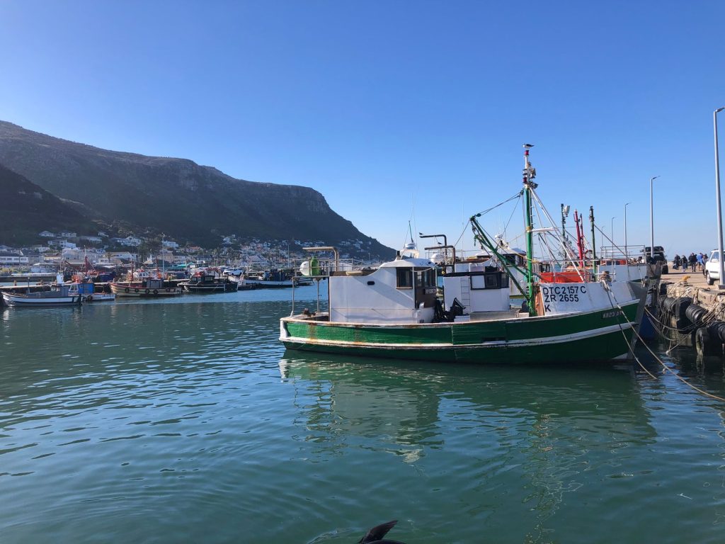 A picturesque view of fishing boats docked at a harbor in Cape Town, South Africa, on a sunny day.