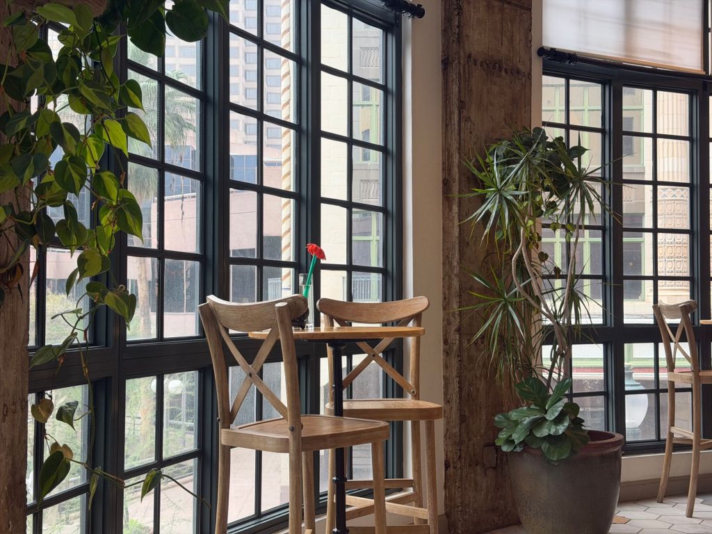 Café interior with wooden chairs, plants and large city-facing windows