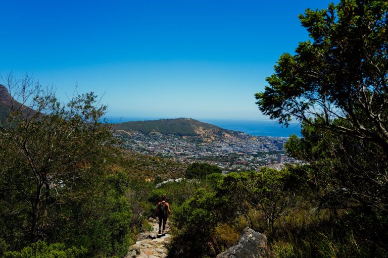 Lone hiker on a scenic trail with a stunning view of Cape Town and the ocean.