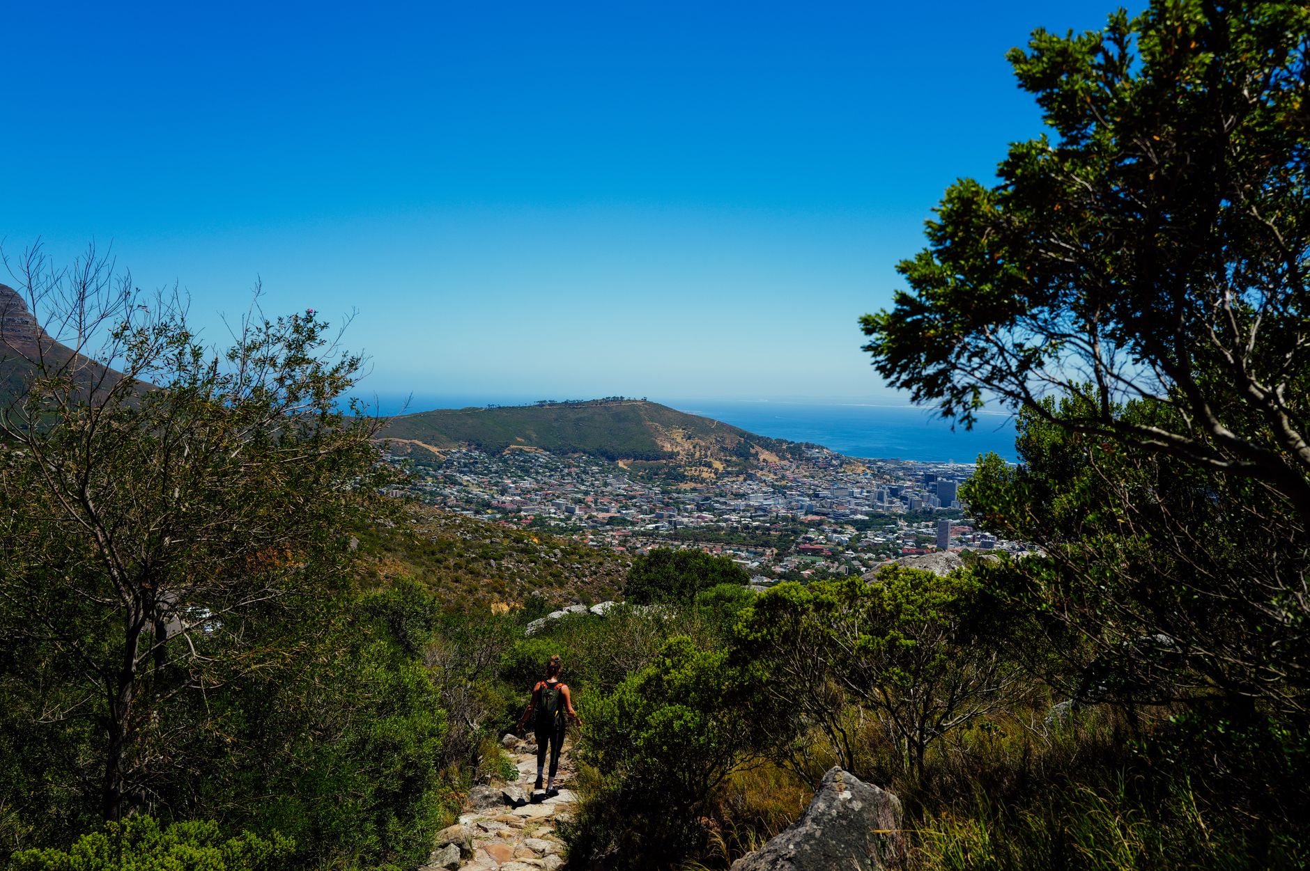 Lone hiker on a scenic trail with a stunning view of Cape Town and the ocean.