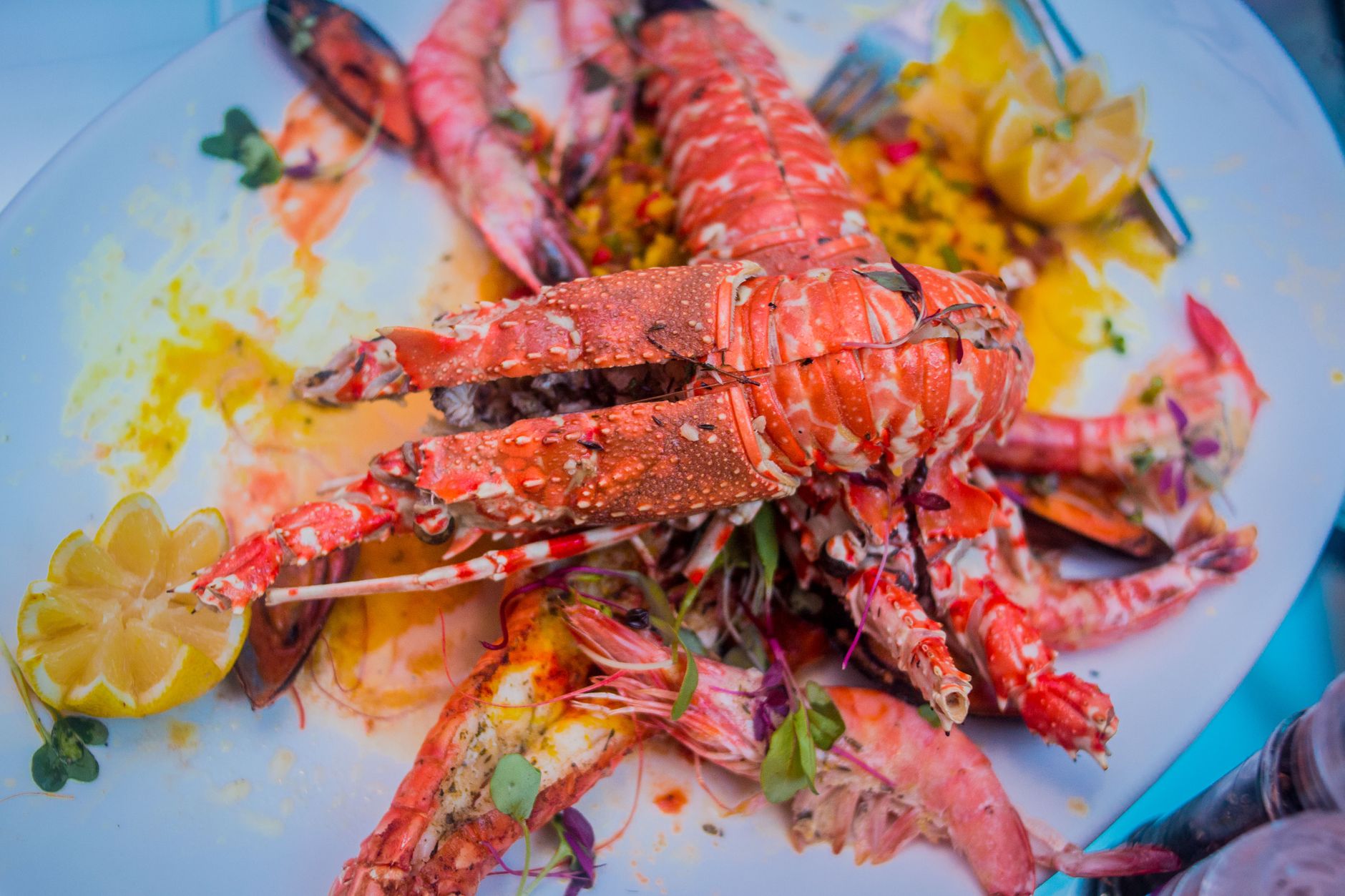 A mouthwatering seafood platter with fresh lobster and prawns, garnished with lemon.