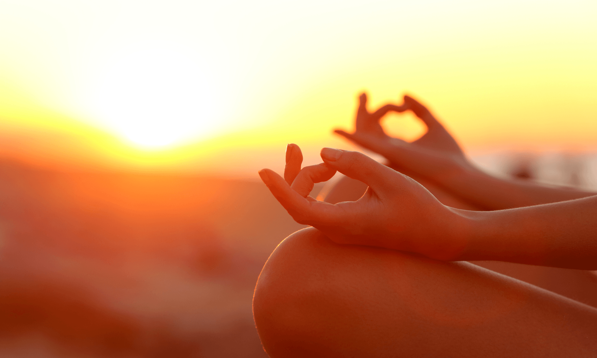 ands forming a heart at sunrise during a South African wellness journey